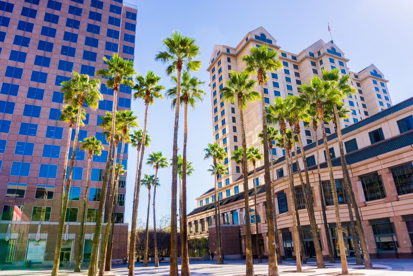San Jose Downtown with Palm Trees 1600